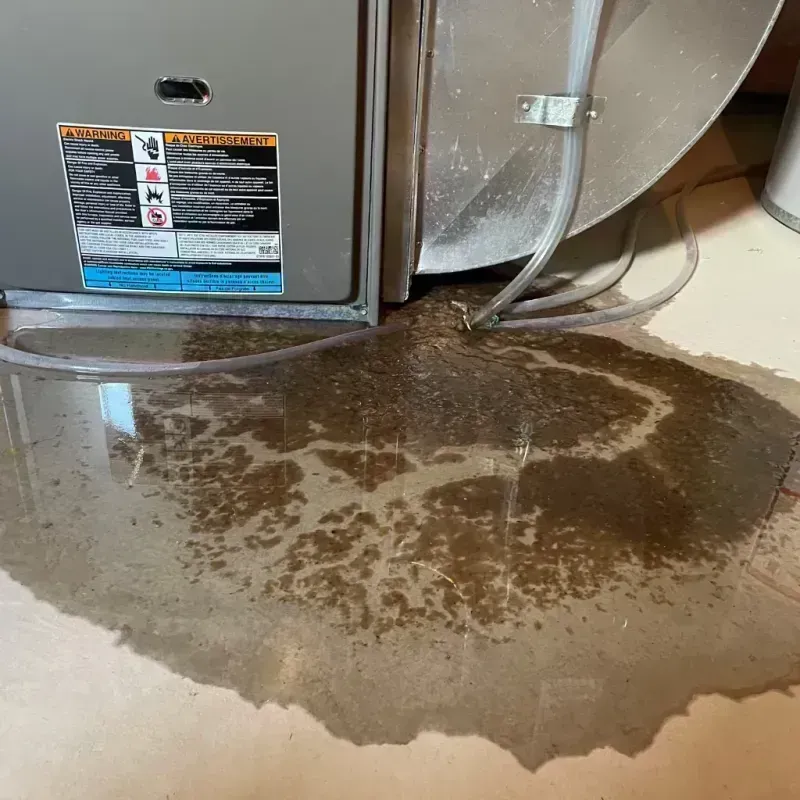 Appliance Leak Cleanup in Byron, MN